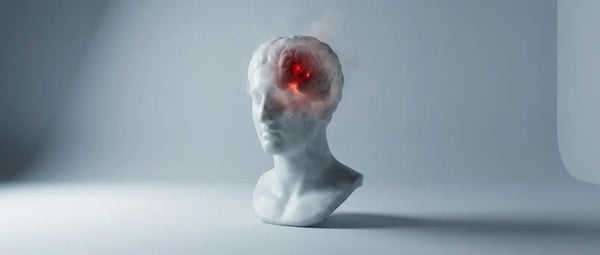 Surreal illustration of a translucent marble head with a glowing red ember inside, representing the burning sensation and cognitive clouding caused by chronic neuroinflammation.